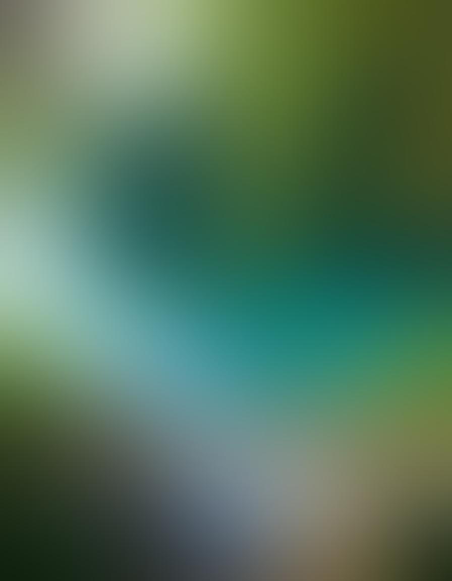 A serene outdoor scene showcasing a diverse group of naturists enjoying nature, surrounded by lush greenery and a sparkling blue lake. Include elements symbolizing health, like fresh fruits and yoga mats, and wealth, like golden coins and financial graphs subtly integrated into the background. The atmosphere should feel uplifting and liberating, with sunlight streaming through the trees. super-realistic. vibrant colors. peaceful. natural setting.